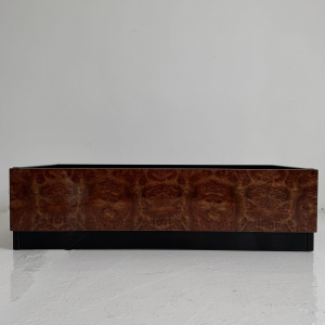 French high gloss and burr Paul Michel Planter for Roche Bobois